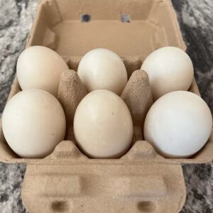 Jumbo Grade AA Duck Eggs